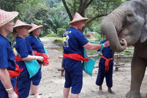 From Phuket & Khao Lak: Elephant Care with Waterfall Visit From Khao Lak