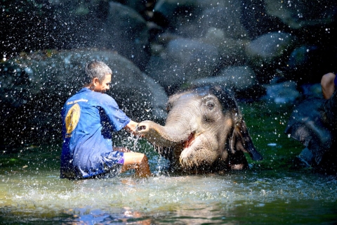 Von Phuket & Khao Lak: Elefantenpflege mit WasserfallbesuchVon Khao Lak aus