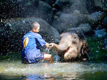 Von Phuket & Khao Lak: Elefantenpflege mit Wasserfallbesuch