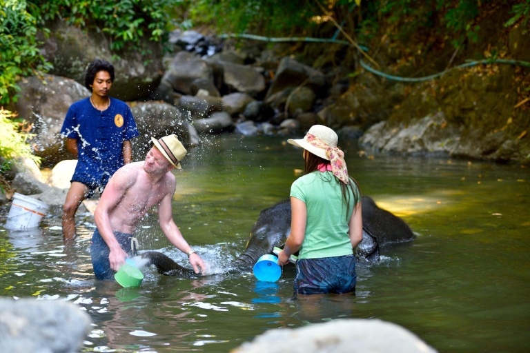 Desde Phuket y Khao Lak: Cuidado de elefantes con visita a la cascadaDesde Phuket