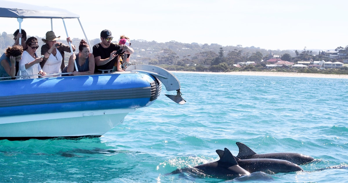 encounter bay cruise