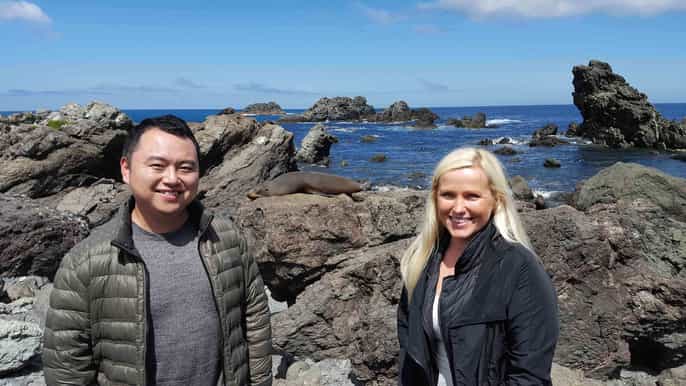 martinborough winery and south wairarapa wild coast tour