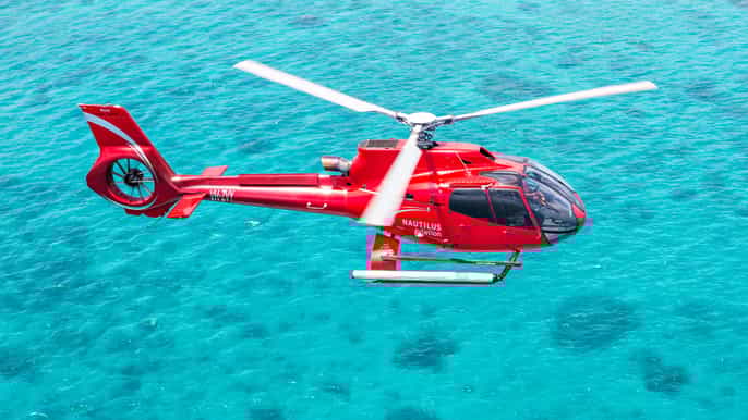 barrier reef snorkeling with helicopter cruise or both