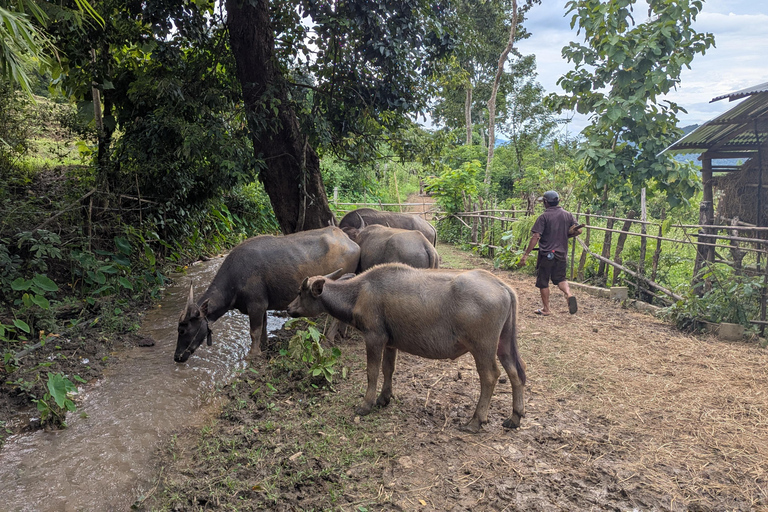 Kuang Si Waterfall & Rice Farm Tour with Sunset Cruise