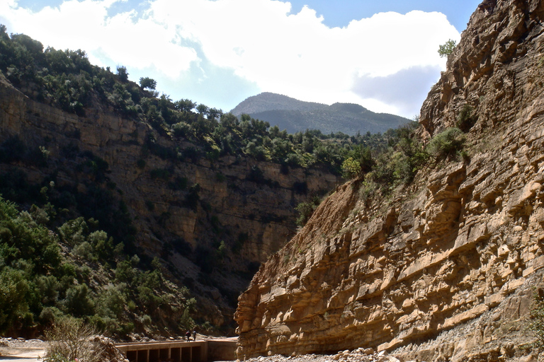 From Agadir: Discover Paradise Valley & Swimming