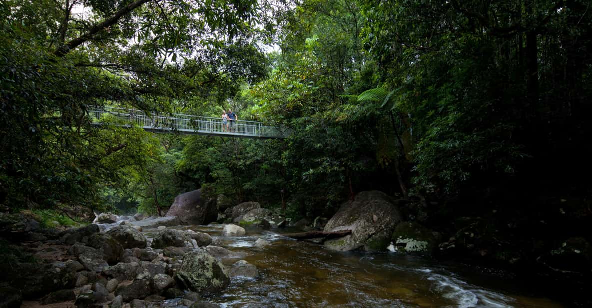 Daintree, Mossman Gorge & Cape Trib Tour with Cruise & Lunch