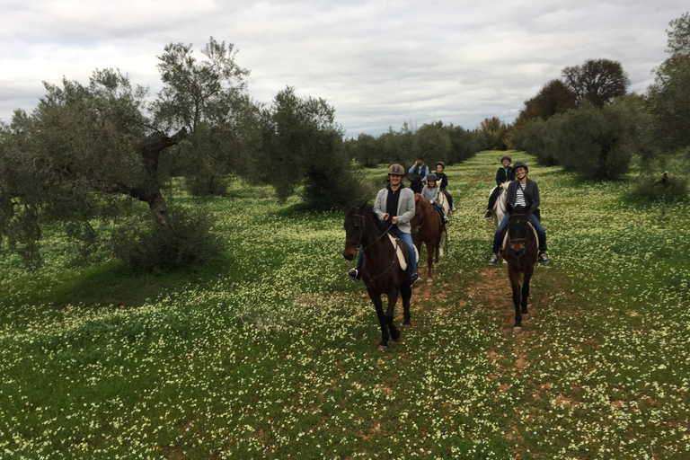 Von Sevilla aus: Andalusischer ReitausflugAb Sevilla: Ausritt durch Andalusien