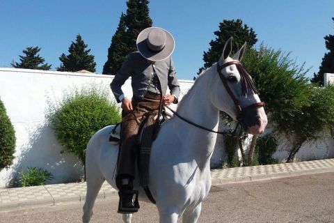 From Seville: Andalusian Horseback Ride
