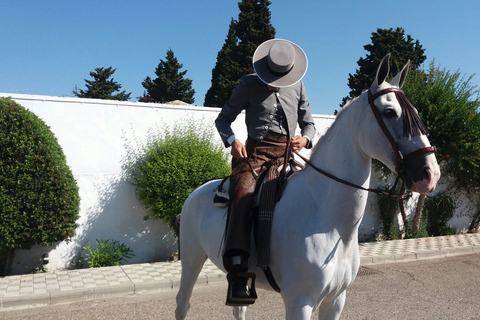 Depuis Séville : Randonnée à cheval en AndalousieDepuis Séville : balade équestre en Andalousie