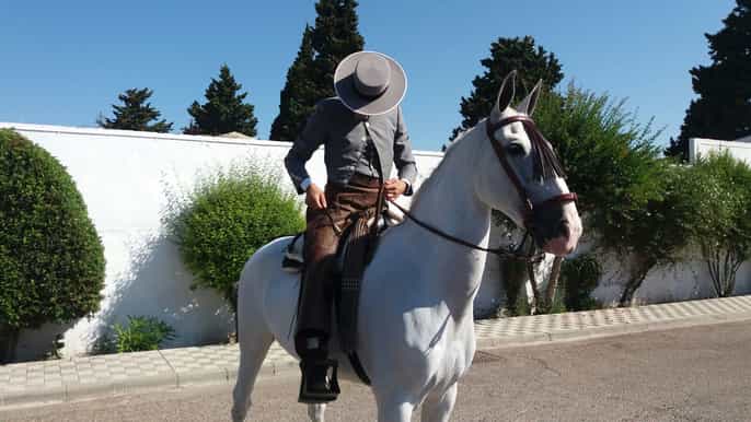 from seville andalusian horseback ride