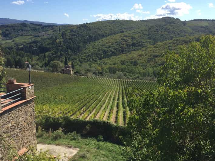 Desde Florencia tour de cata de vinos en la Toscana GetYourGuide