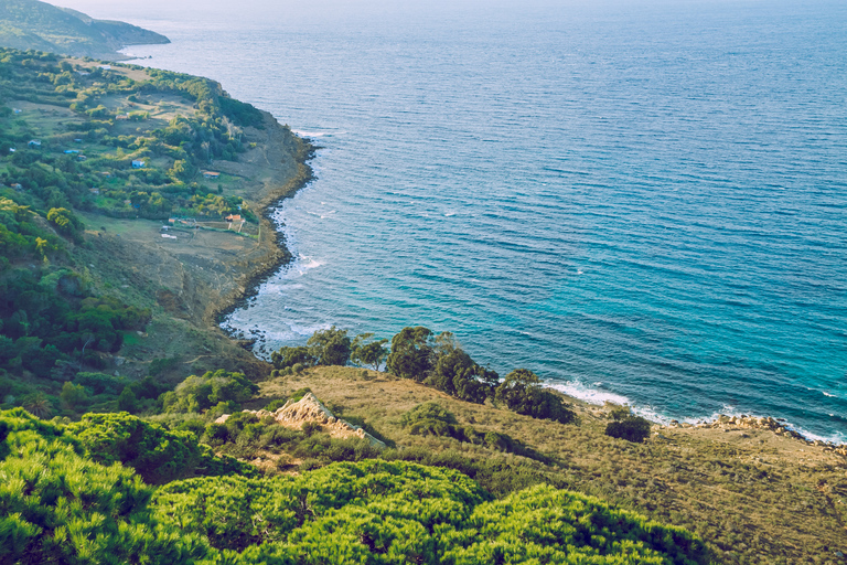 From Malaga: Tangier Day Trip