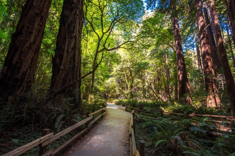 San Francisco: Stadtrundfahrt & Muir Woods Tour