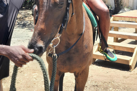 Westmoreland: ATV, Zipline, and Horseback Riding Tour