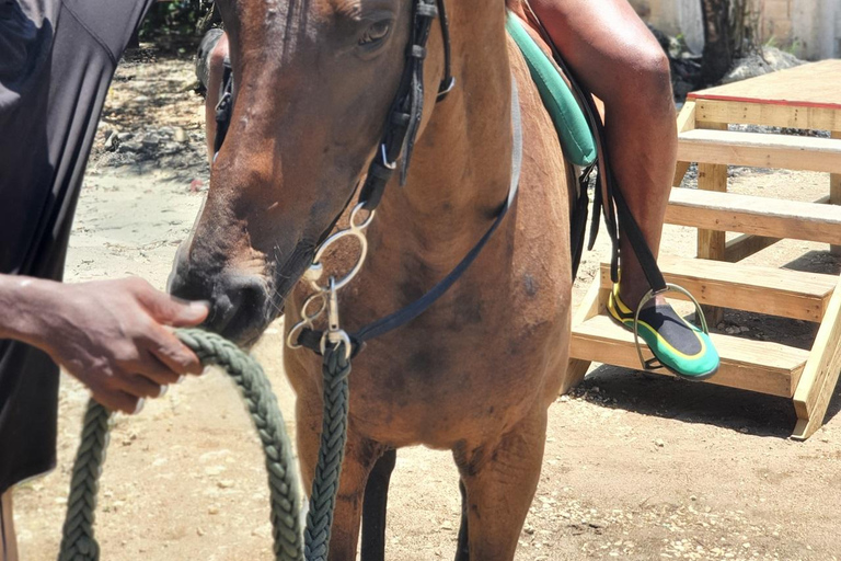 Westmoreland: ATV, Zipline, and Horseback Riding Tour