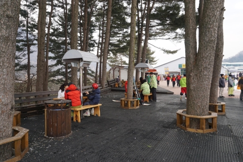 Séoul : journée de ski, de traîneau et de neige à Jisan ResortJisan Resort Profitez de la neige uniquement