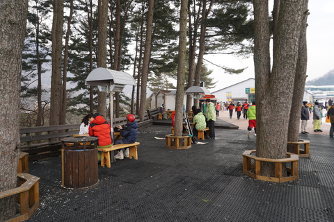 Stazione forestale di Jisan: Tour di un giorno con gli sci o navetta da SeulNavetta + pacchetto sci base