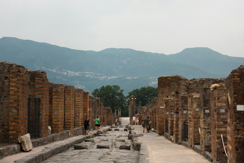 Naples: Pompeii & Herculaneum Shared Regular Group Tour