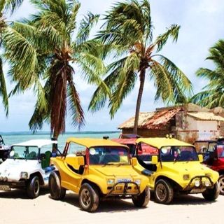 Da Salvador: tour a spiagge di Mangue Seco e dune e buggy
