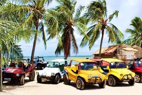 From Salvador: Mangue Seco Beaches, Dunes & Buggy Daytrip