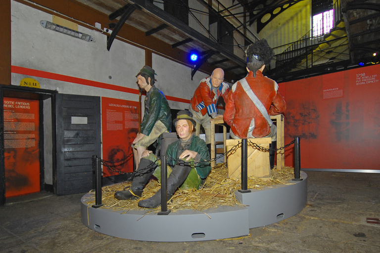 Histórica Wicklow Gaol: tour de 1 horaTicket individual para el tour de 1 hora