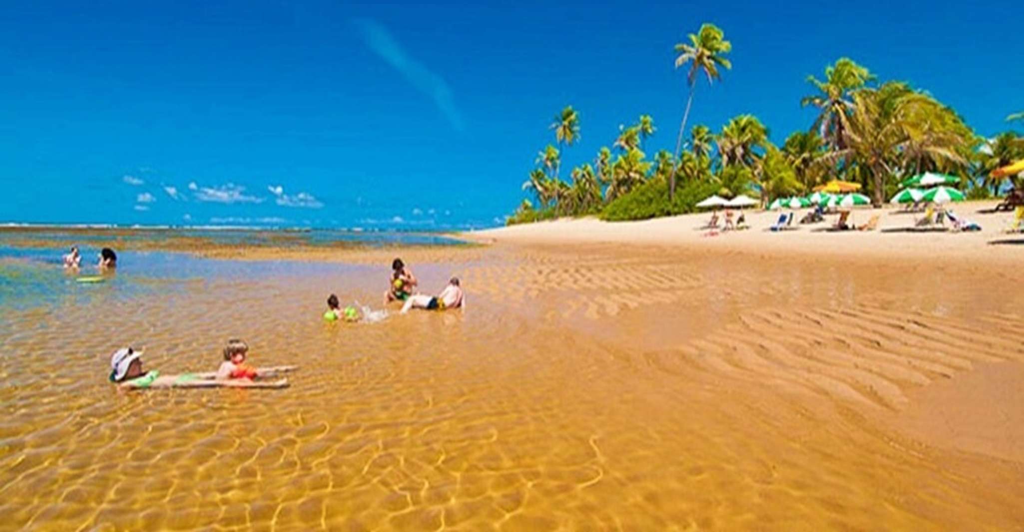 De Salvador, Praia do Forte & Guarajuba Beach Excursion d'une journée - Hizvo