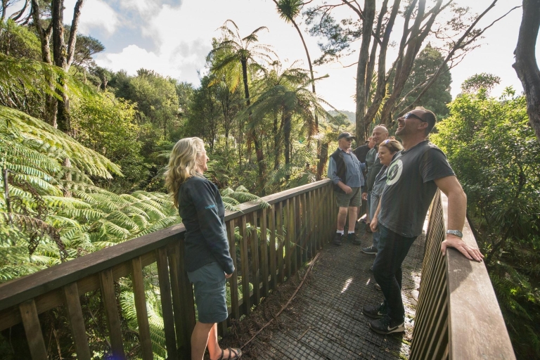 Recorrido por la experiencia en la naturaleza de Waitakere Ranges desde Auckland