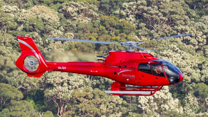 darwin scenic helicopter flight jumping crocodile cruise