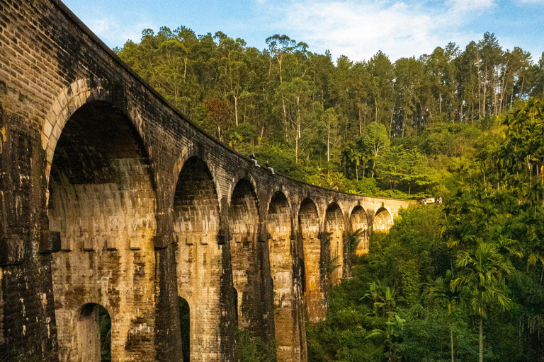 De Colombo: Excursão de 10 dias ao Sri Lanka com guia e hotel