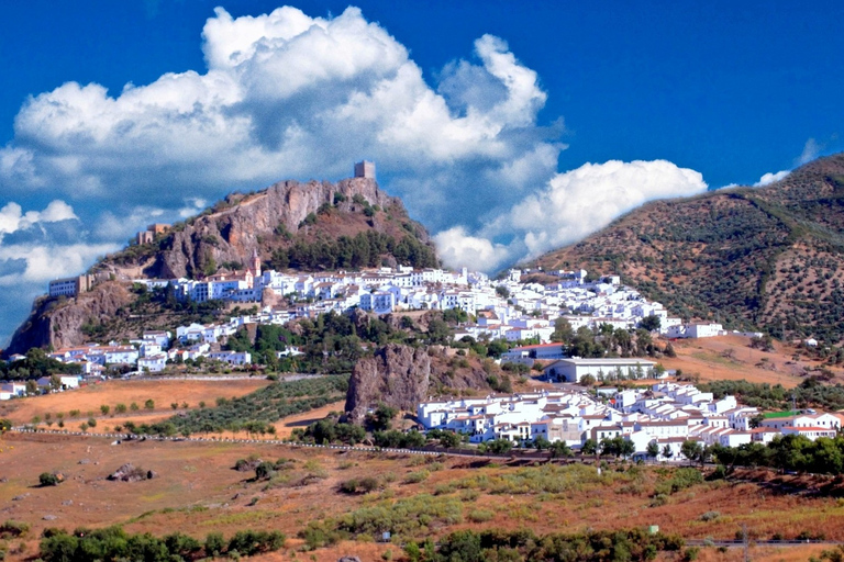 Seville: Transfer to Málaga with visit to Ronda