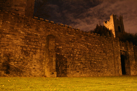 Dublin's Haunted History Walking Tour Standard Option