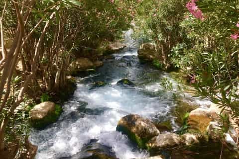 From Benidorm: Afternoon Trip to Algar Waterfalls