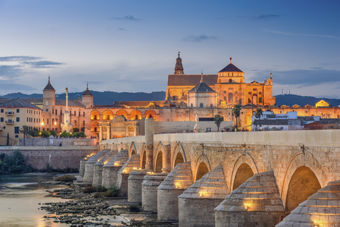 Viagem de um dia guiada a Córdoba saindo de SevilhaOpção Padrão