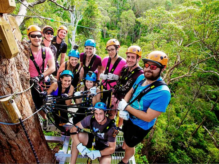 treetop adventure tamborine