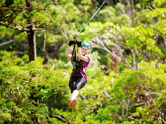 Visit TreeTop Challenge Canyon Flyer Guided Zipline Tour in Gold Coast