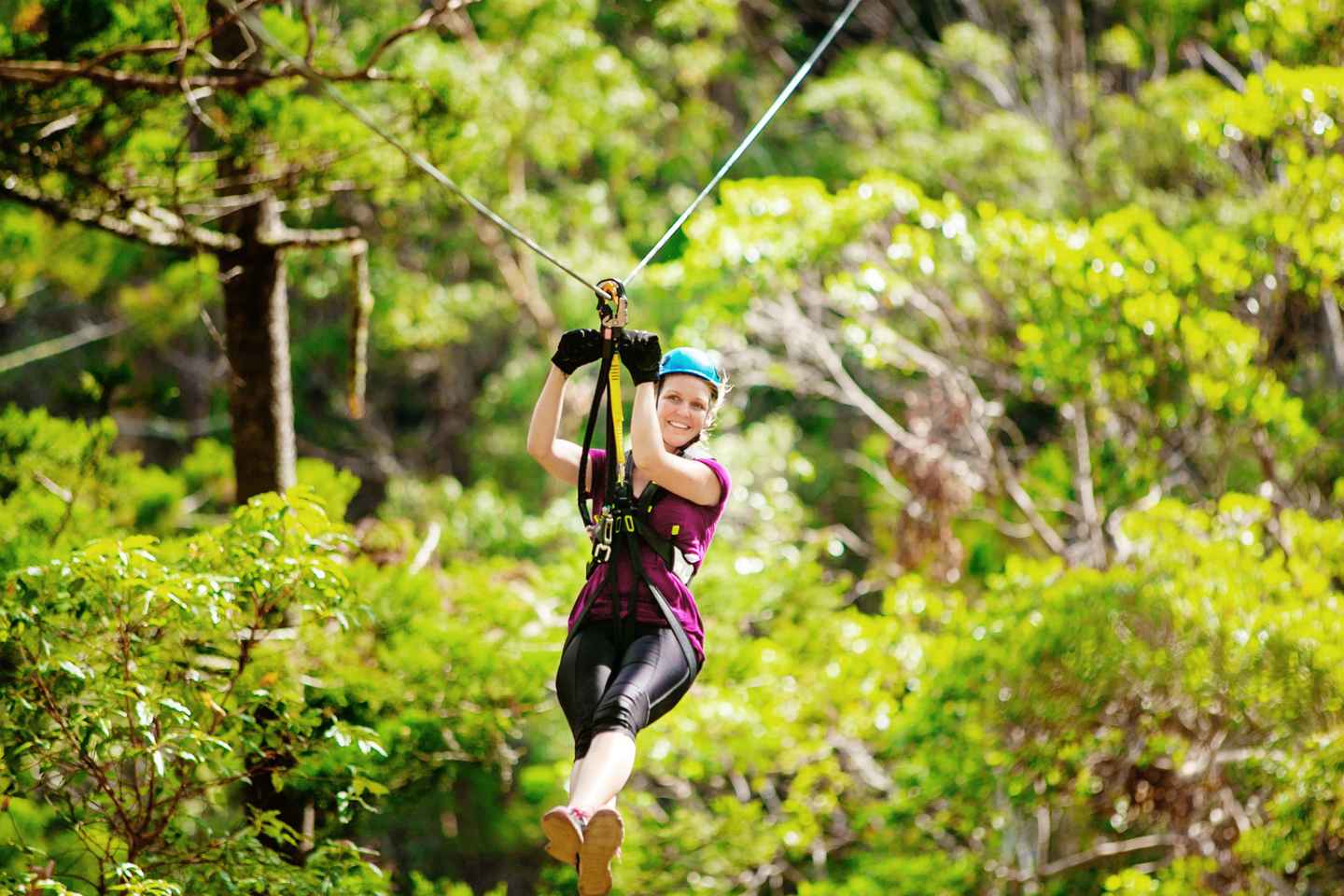 things to do alone in gold coast | go zip lining over mount tamborine