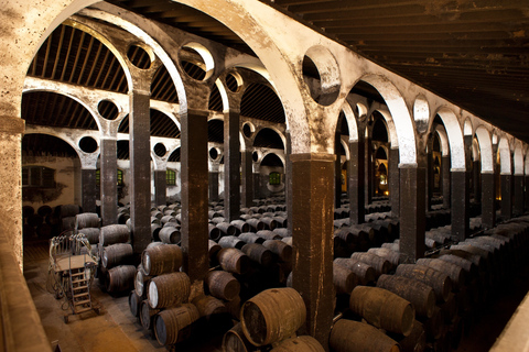 Wine &amp; Sherry Day Tour from Seville