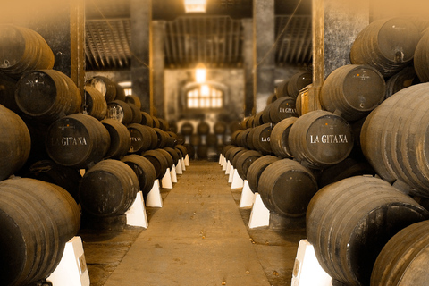 Wine &amp; Sherry Day Tour from Seville