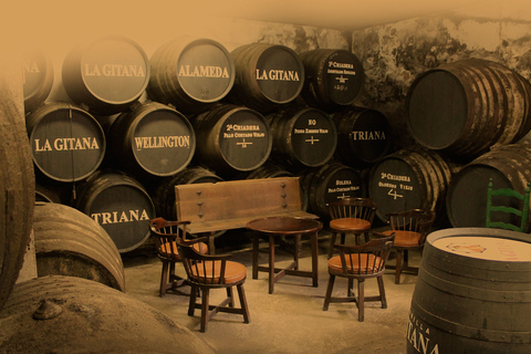 Wine &amp; Sherry Day Tour from Seville