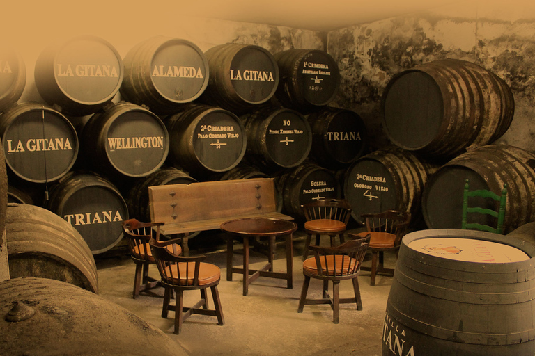 Wine &amp; Sherry Day Tour from Seville