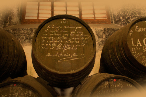 Wine &amp; Sherry Day Tour from Seville