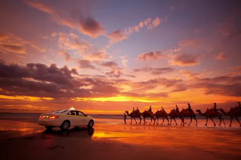 Agadir : Balade à dos de chameau au coucher du soleil avec dîner