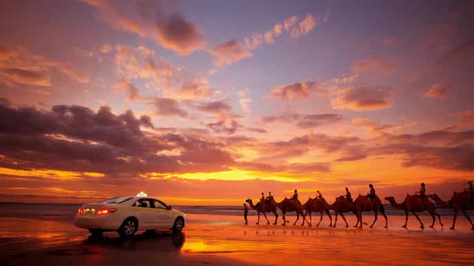 agadir sunset camel ride with dinner
