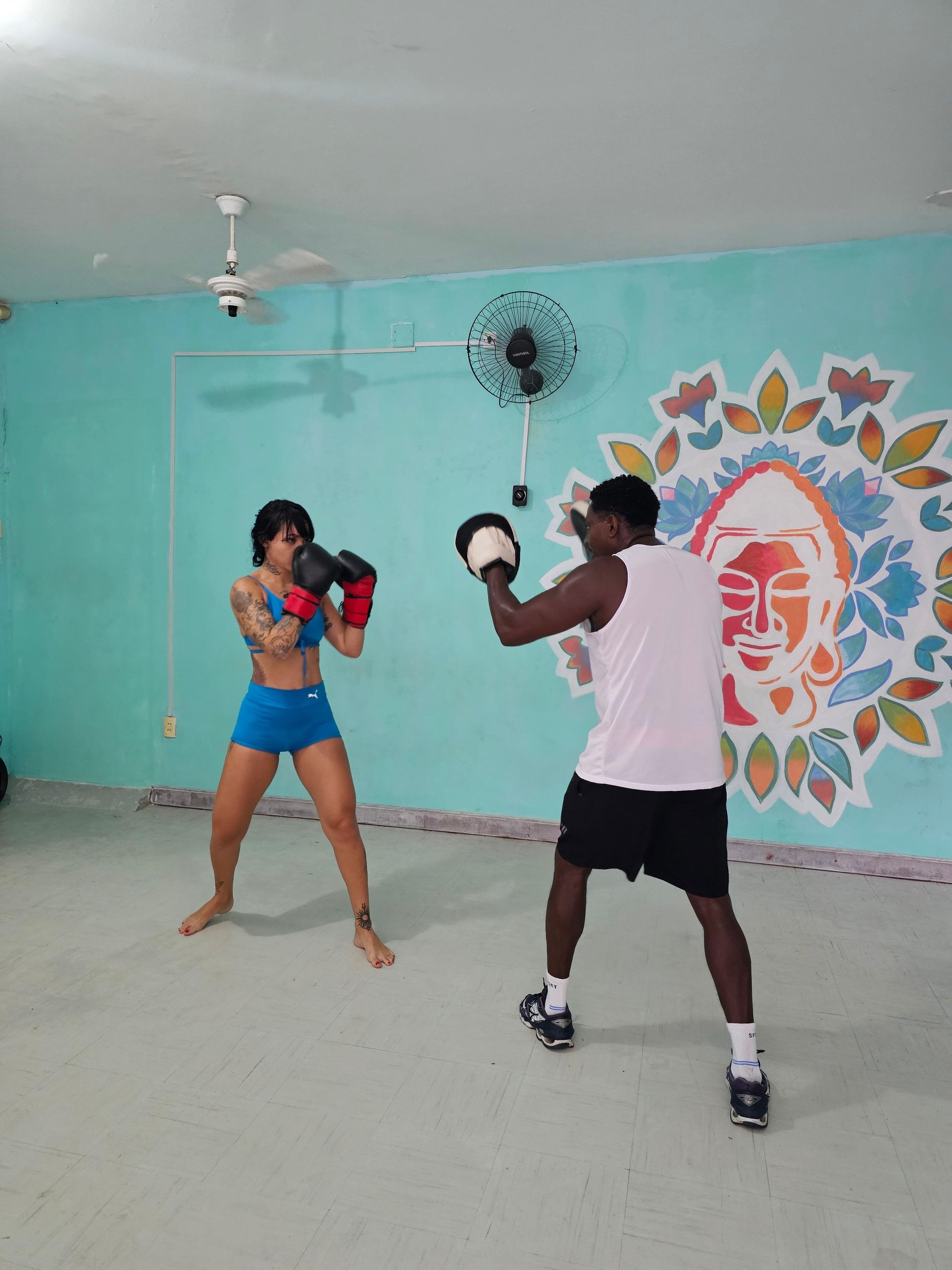 BOXE KLASSE - EHEMALIGER BAHIANISCHER MEISTER (SALVADOR-BA)