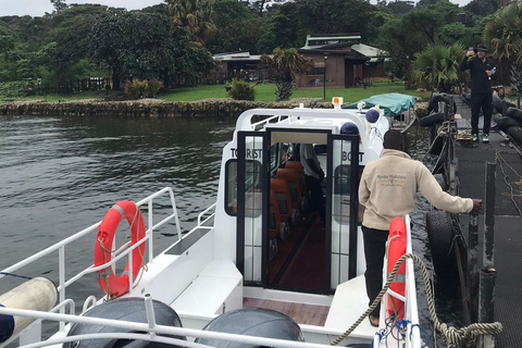 Ngamba Island Chimpanzee, Entebbe and Victoria Tour
