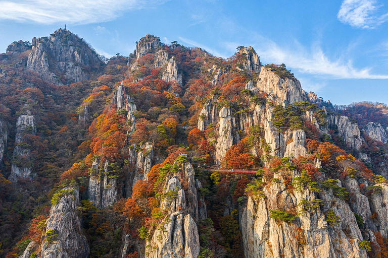 سيول: جولة يومية لمشاهدة أوراق الخريف في حديقة أودايسان أو دايدونسانجولة مشتركة لمشاهدة أوراق شجر 