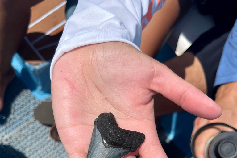 Folly Beach: Morris Island båttur med fossiljakt