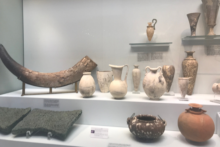 Museo Arqueológico de Heraklion: visita guiada a pieMuseo Arqueológico: visita guiada a pie (sin entrada)