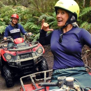Greymouth: Off-Road Adventure in the 'Enchanted Rainforest'