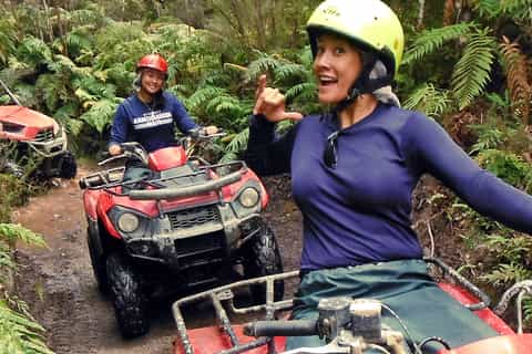 Greymouth: Off-Road Adventure in the 'Enchanted Rainforest'
